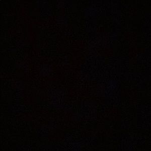 Meet your Posher, Tori